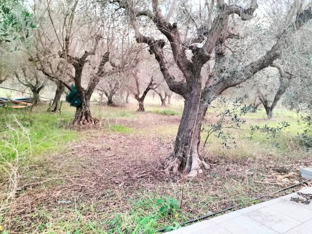 Immobile a Giulianova in Via Filetto, 37 A - Foto 5