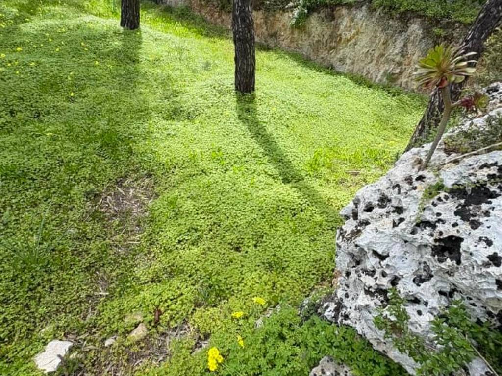 Terreno a Avola in Strada Provinciale Serralombardi Scassabarile - Foto 3