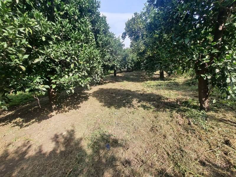 Terreno a Nocera inferiore in Via Fiano - Foto 2