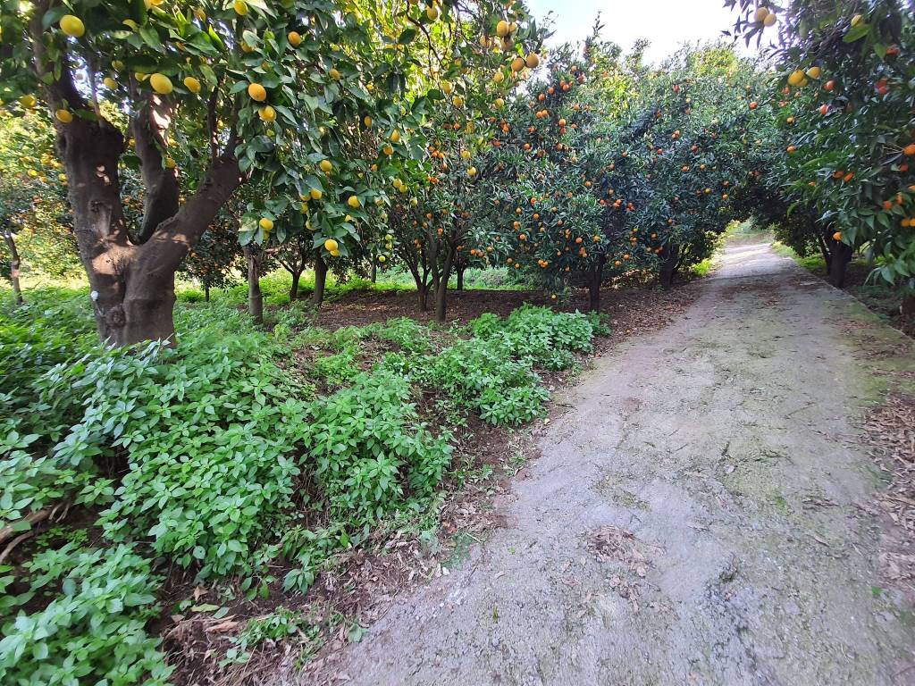 Terreno a Nocera inferiore in Via Fiano - Foto 3