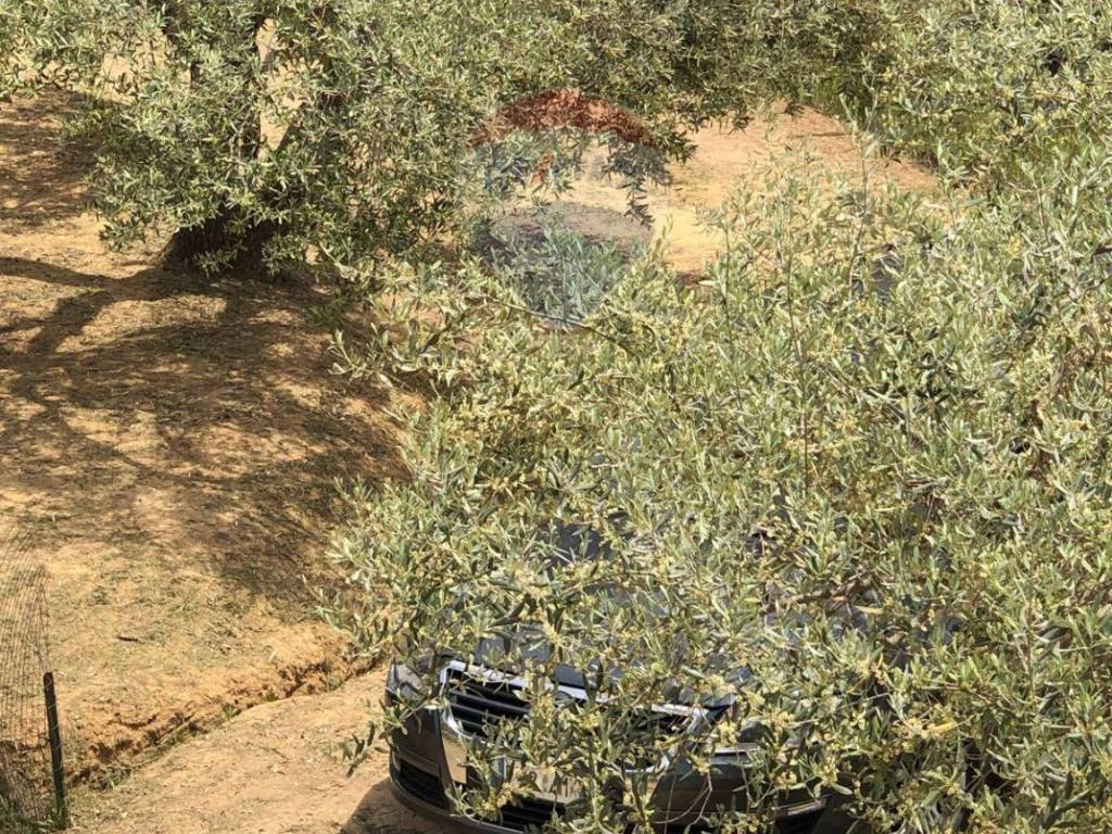 Casa indipendente a Caltagirone in Via Colleggiata, 160 - Foto 2