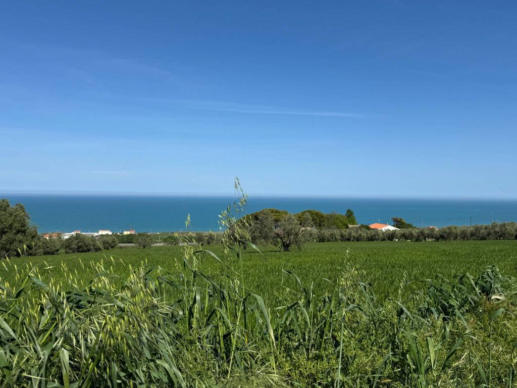 Terreno a Civitanova marche in Contrada Asola - Foto 4