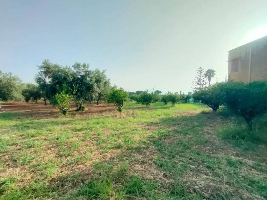 Villa a Trappeto in Contrada San Cataldo S.N.C. - Foto 3