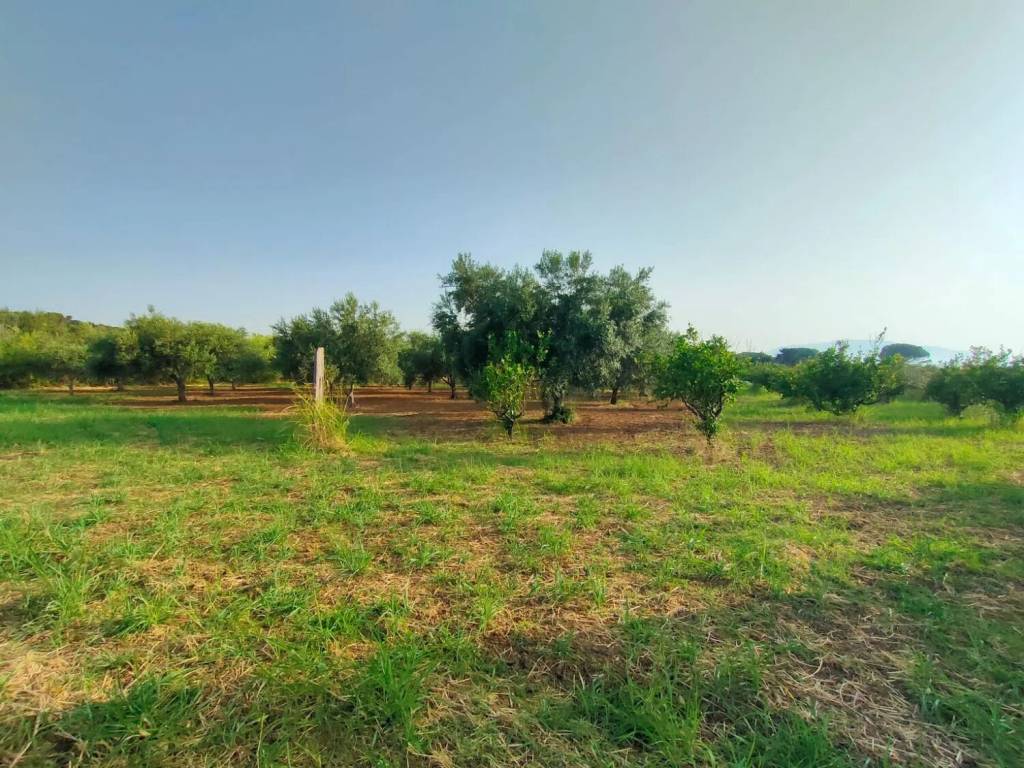 Villa a Trappeto in Contrada San Cataldo S.N.C. - Foto 4