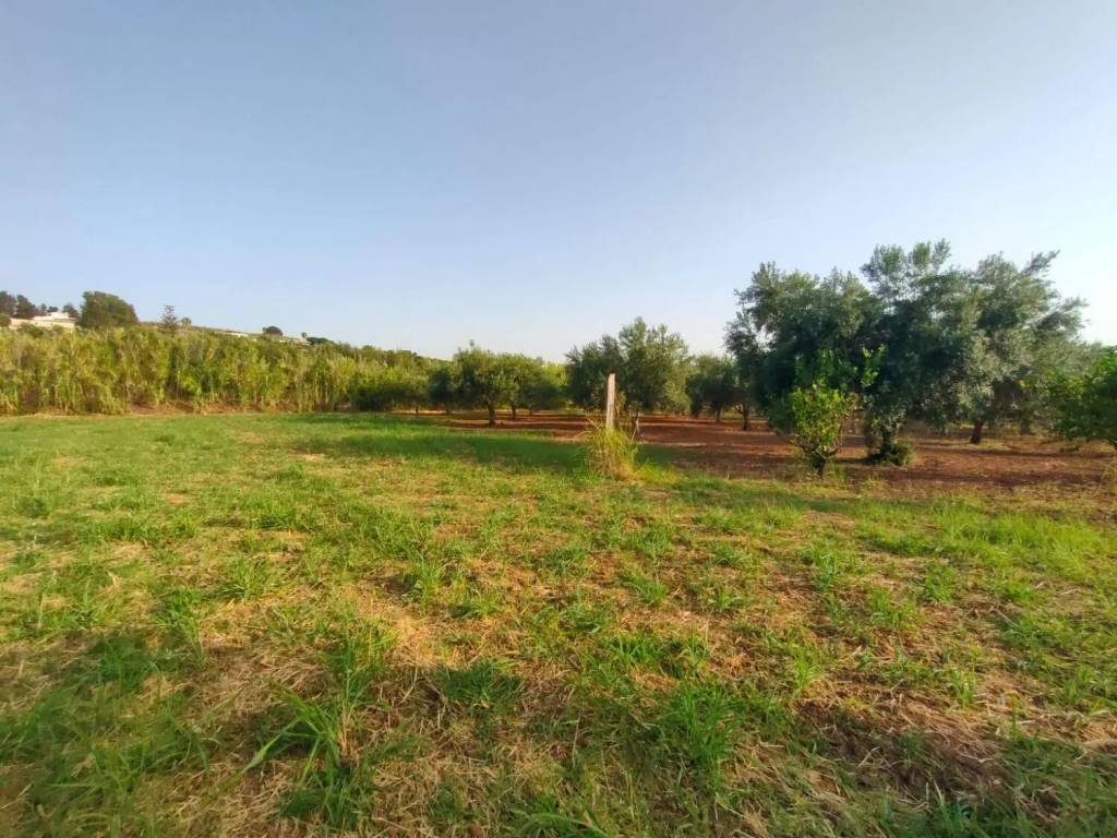 Villa a Trappeto in Contrada San Cataldo S.N.C. - Foto 5
