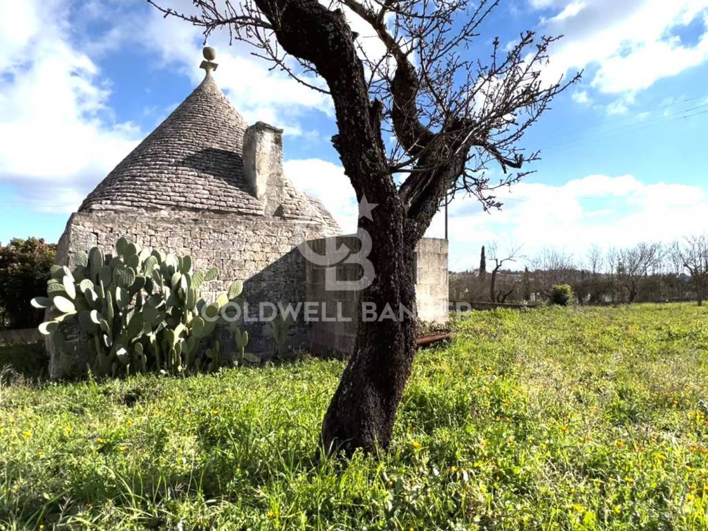 Rustico / casale a Cisternino in Contrada Barbagiulo - Foto 2