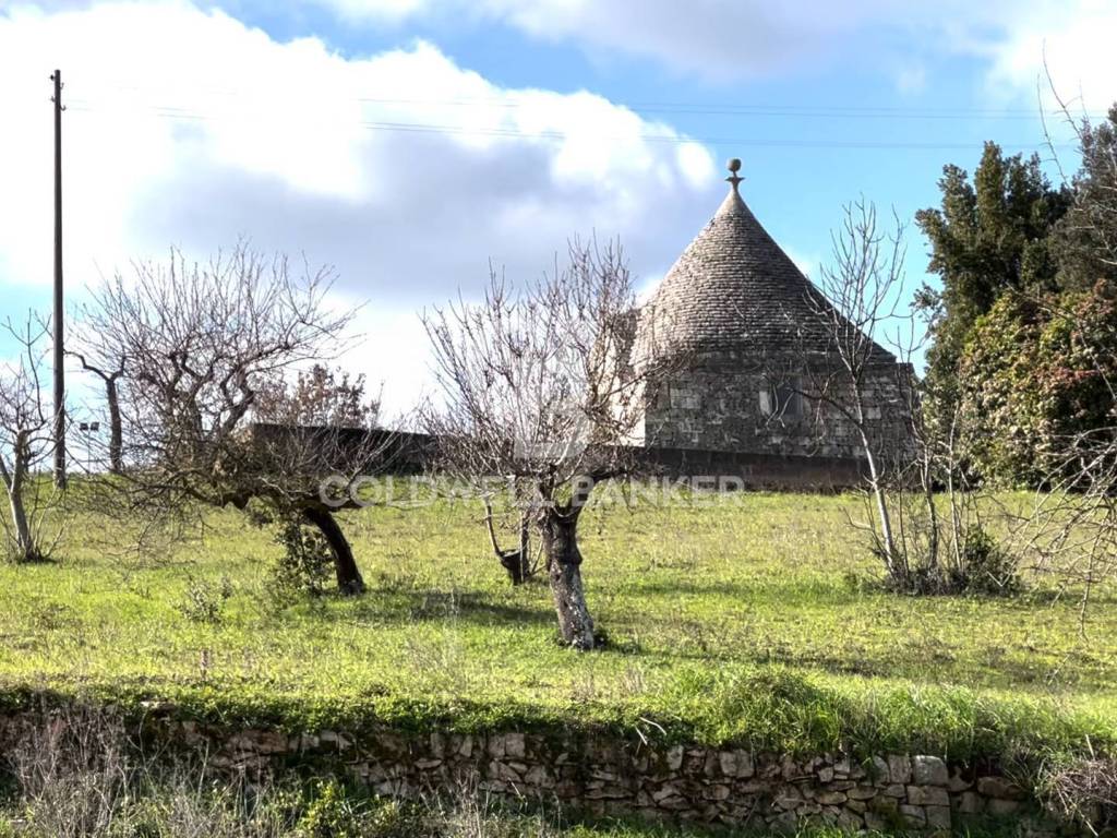 Rustico / casale a Cisternino in Contrada Barbagiulo - Foto 5