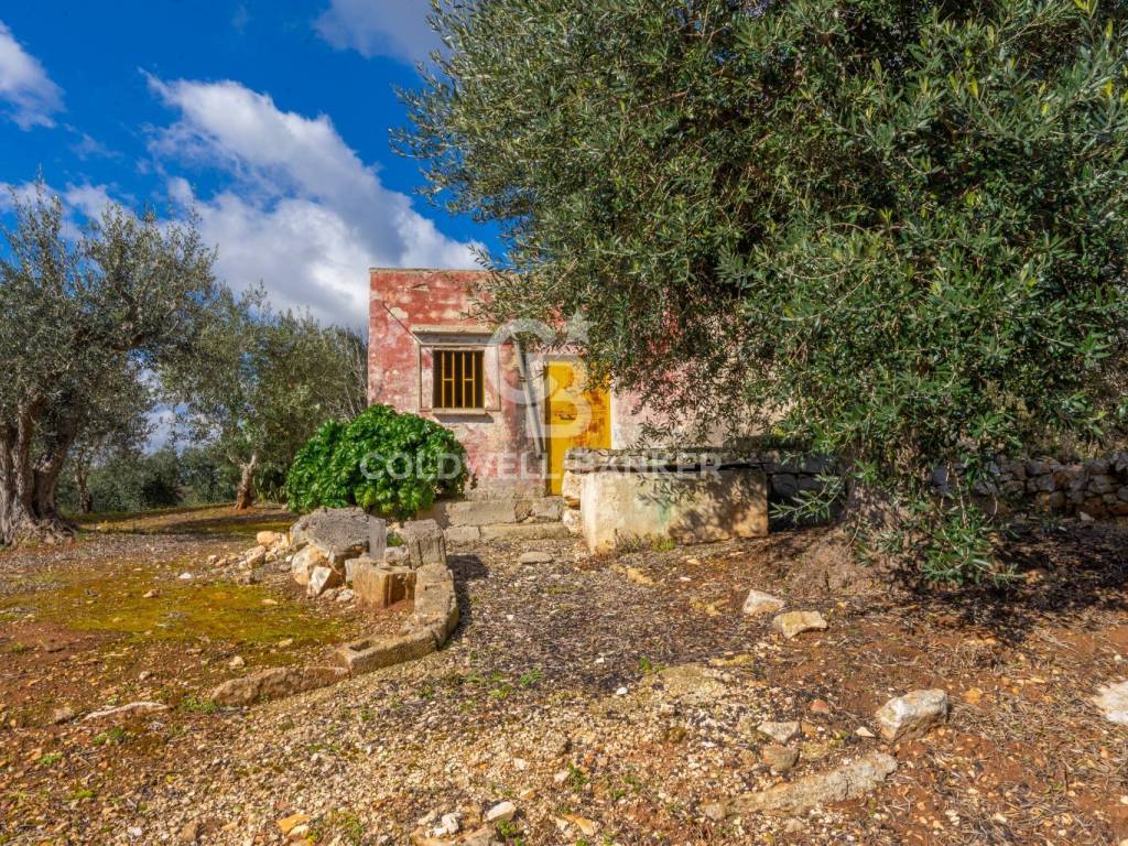 Rustico / casale a Cisternino in C.da Sisto - Foto 2