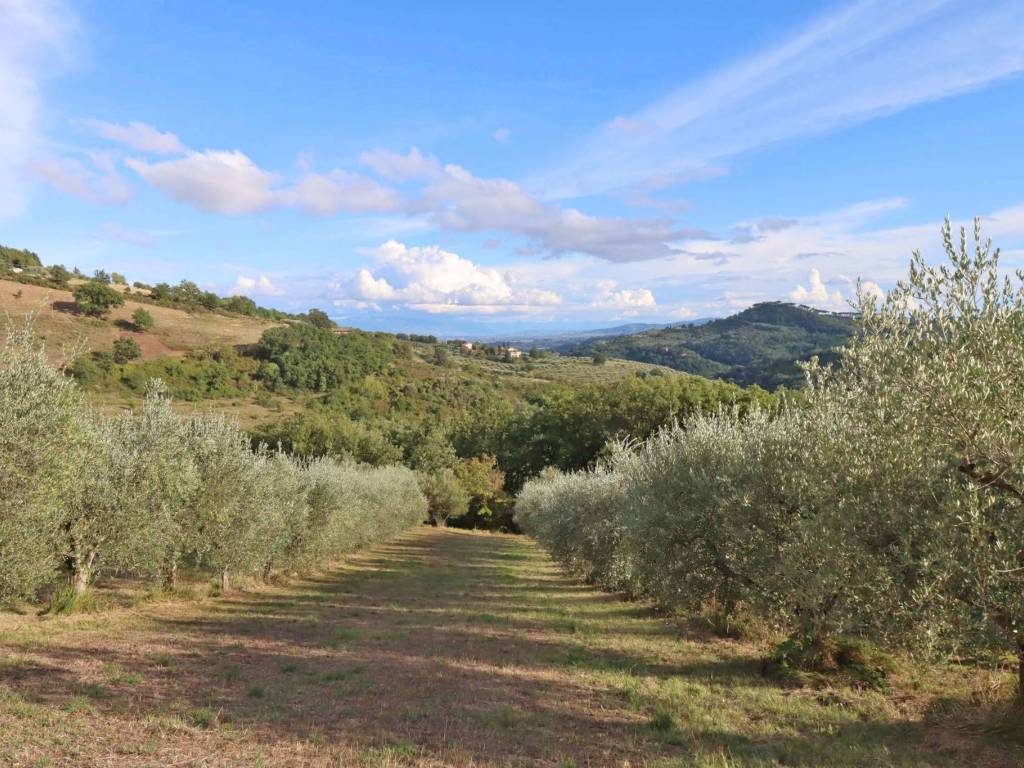 Terreno a Perugia in Strada Pieve San Sebastiano, 25 - Foto 3
