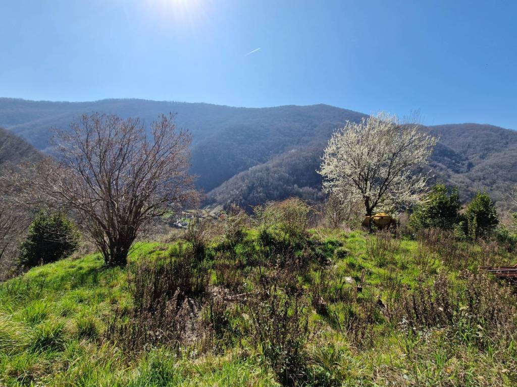 Terreno a Serra riccò in Via Pernecco Superiore - Foto 5