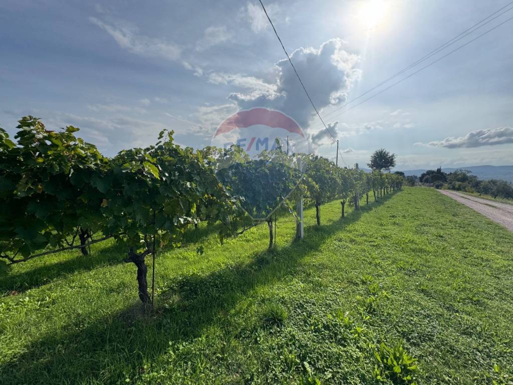 Terreno a Gualdo cattaneo in Via Sant'Anna - Foto 3