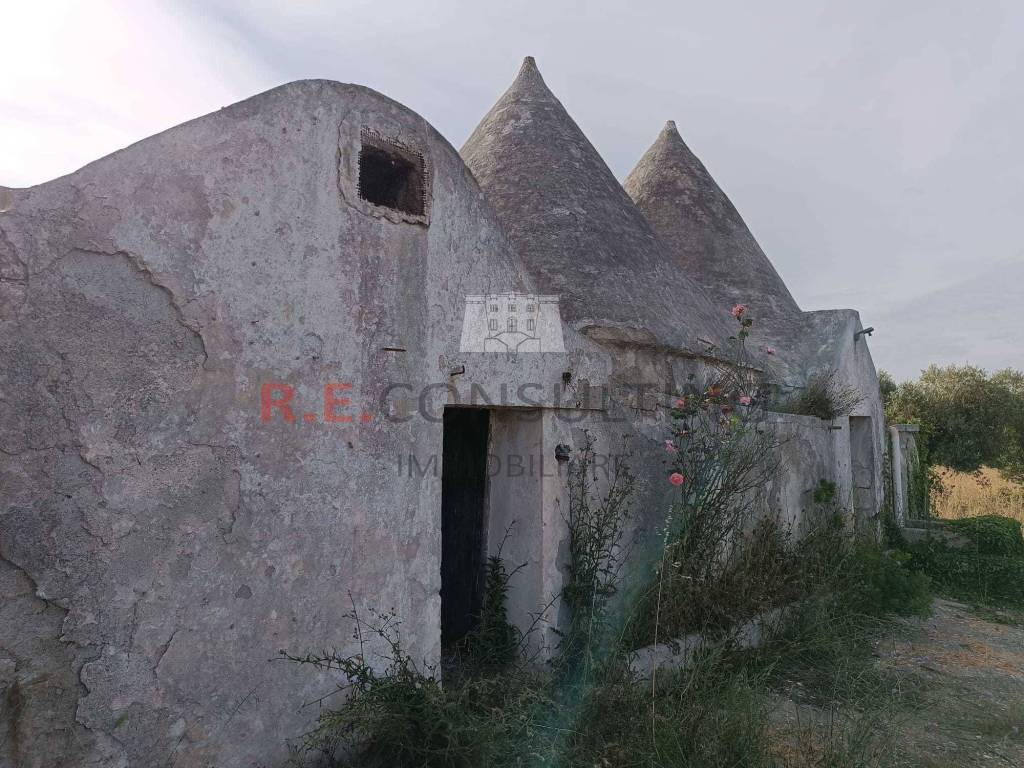 Rustico / casale a Martina franca in SP49, 172 - Foto 4