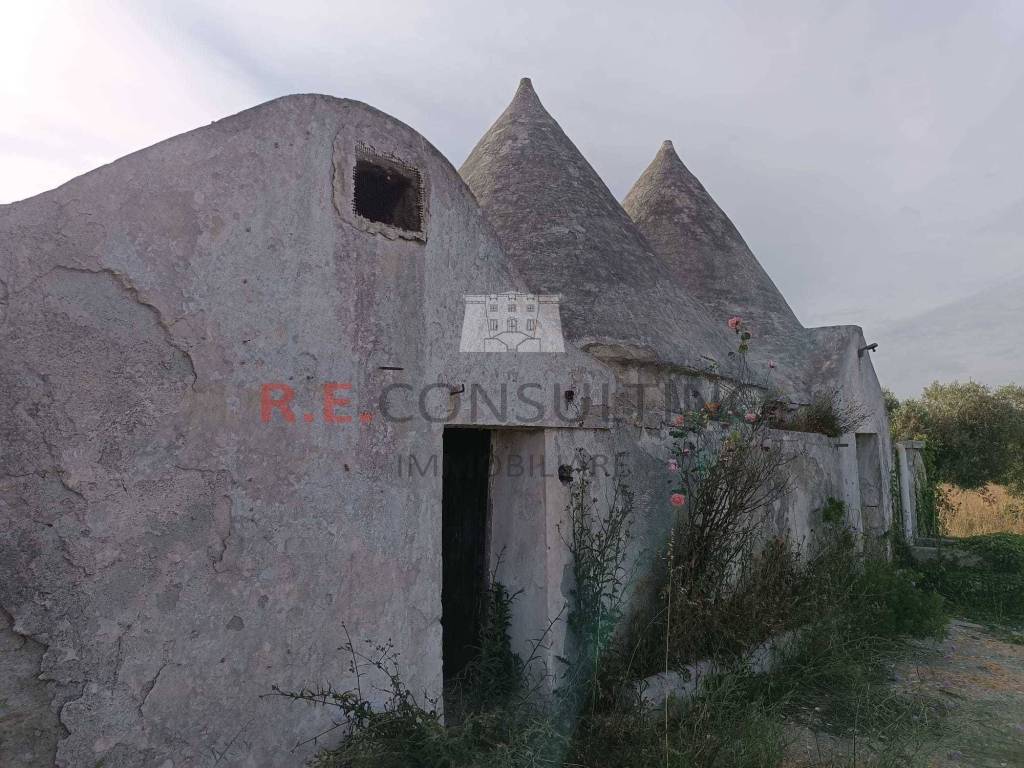 Rustico / casale a Martina franca in SP49, 172 - Foto 5
