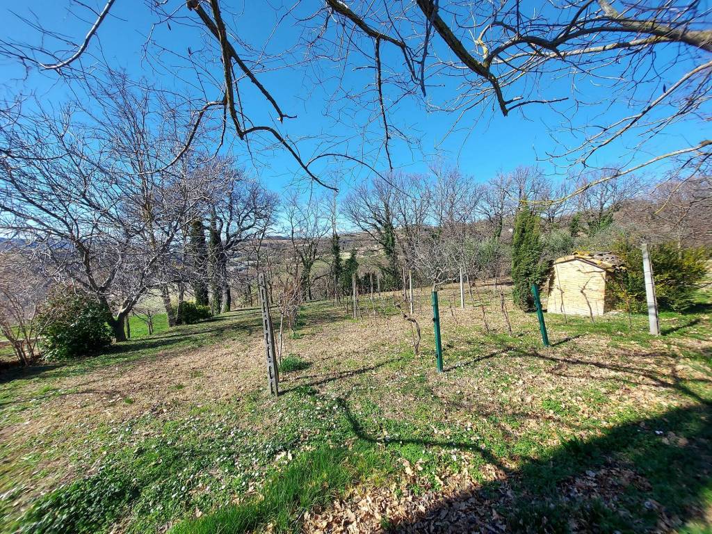 Rustico / casale a Montefelcino in Strada Villa Fiorenza - Foto 5