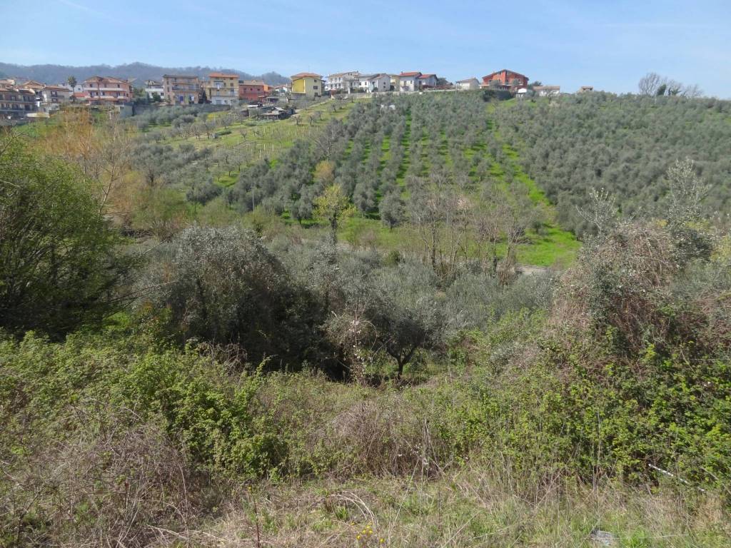 Terreno a San giorgio del sannio in Via Pagliarelle - Foto 5