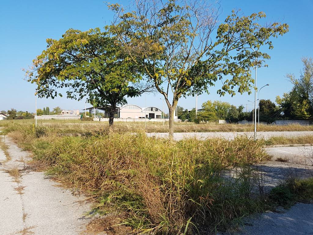 Immobile a Udine in Via Sant'Osvaldo - Foto 5