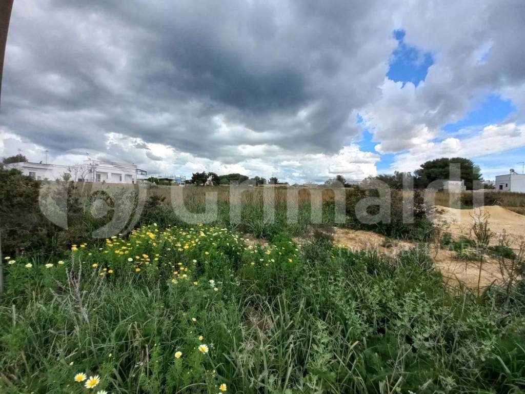 Terreno a Ugento in Via Brinn, 25 - Foto 3