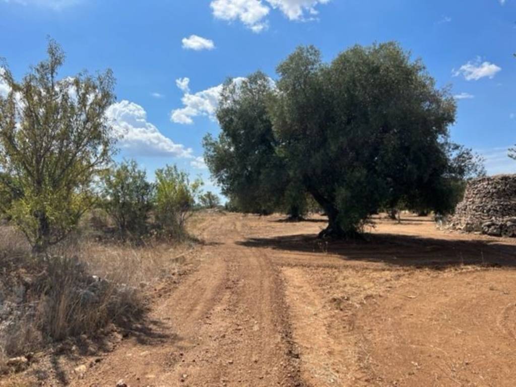 Terreno a Grottaglie - Foto 2