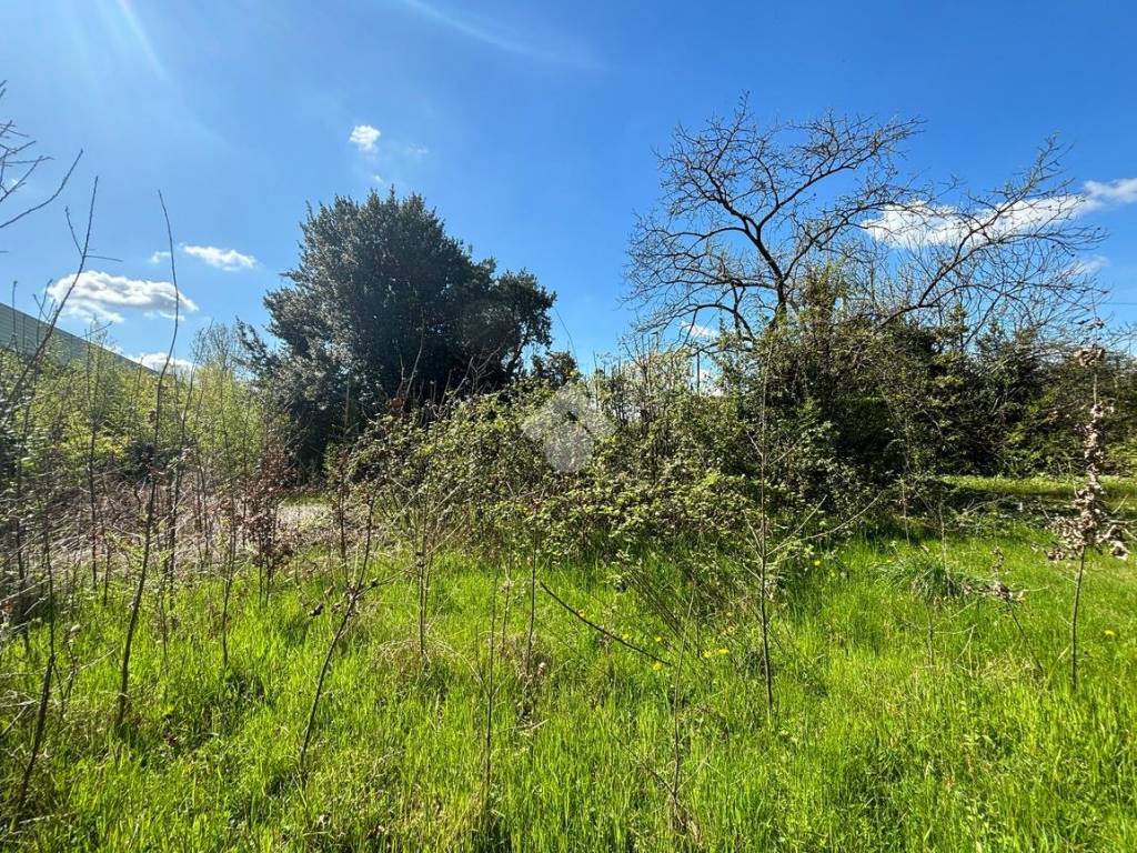 Villa a Borgoricco in Via Desman, 20 - Foto 5