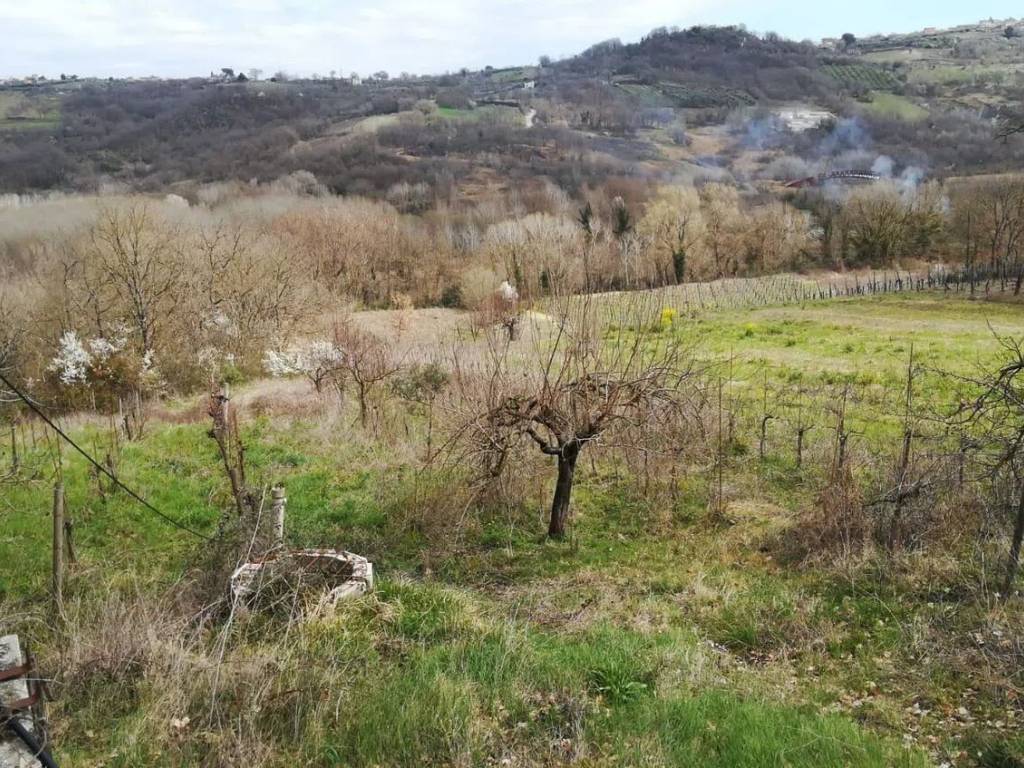 Terreno a Montemiletto in Ischia Del Molino S.N.C. - Foto 4
