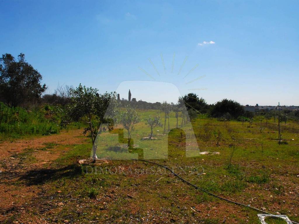 Terreno a Salve in Strada Vicinale Carcarella - Foto 3