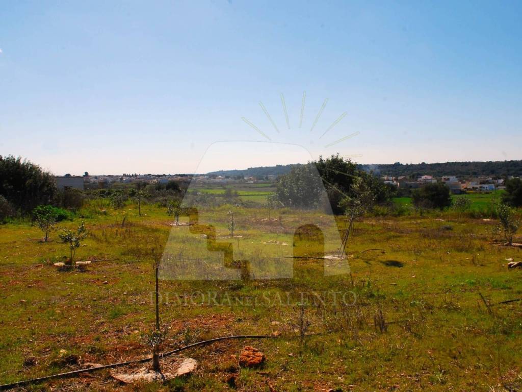 Terreno a Salve in Strada Vicinale Carcarella - Foto 4