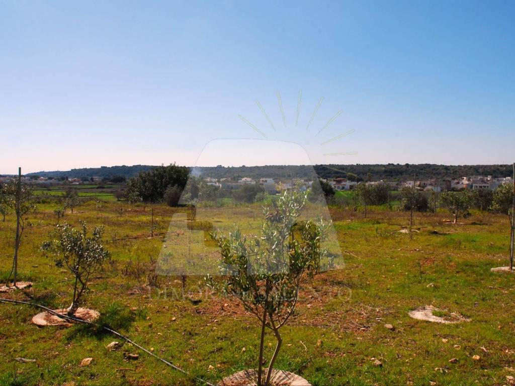 Terreno a Salve in Strada Vicinale Carcarella - Foto 5