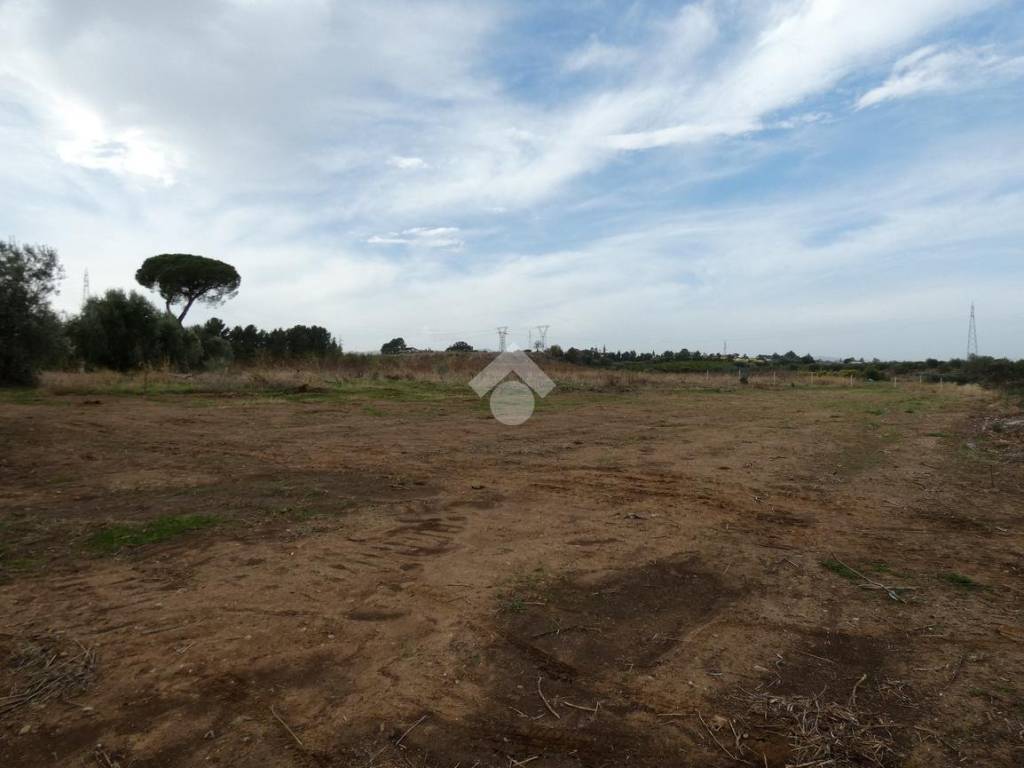Terreno a Policoro in Terreno agricolo Via Ricciardulli, 1 - Foto 3