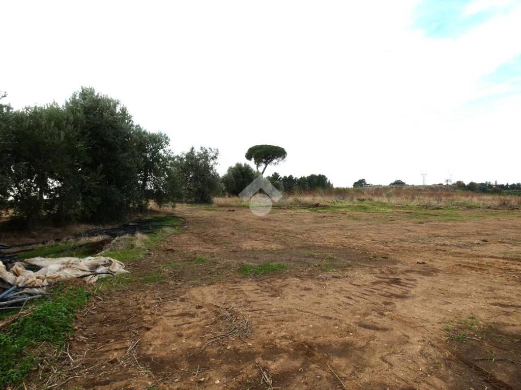 Terreno a Policoro in Terreno agricolo Via Ricciardulli, 1 - Foto 4