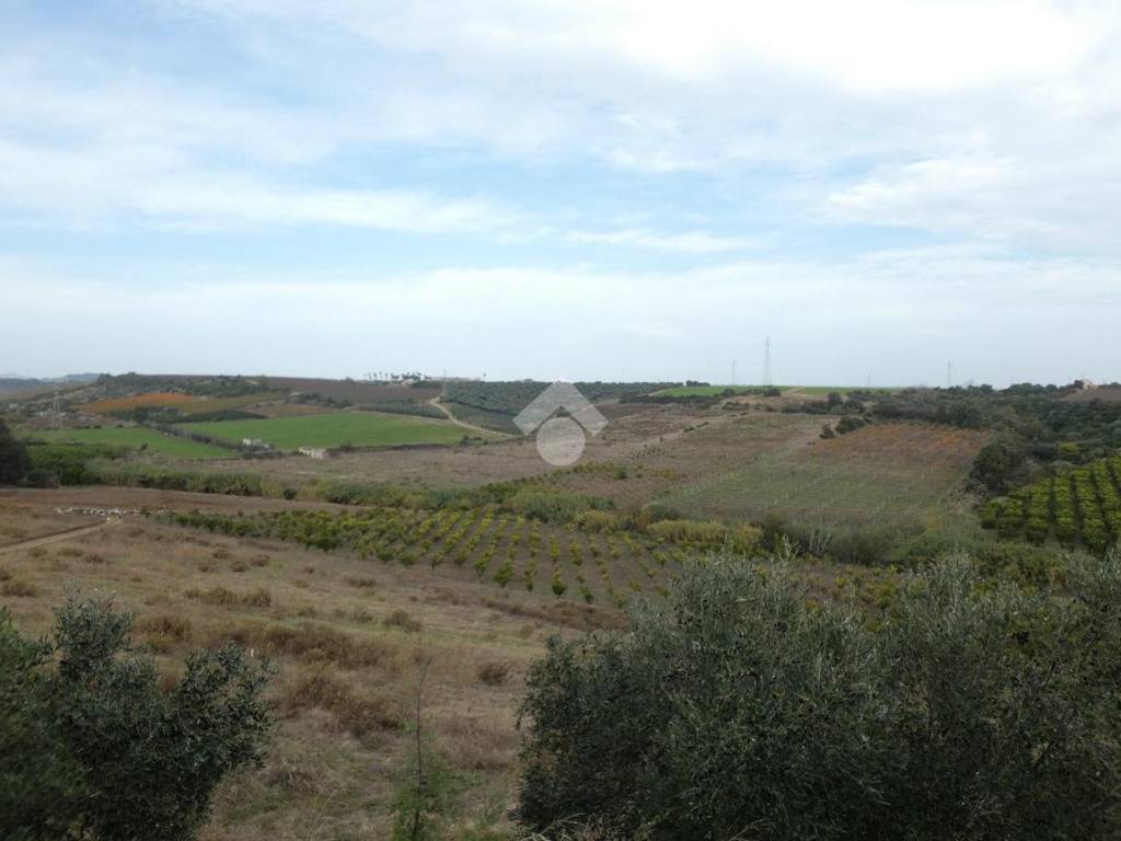 Terreno a Policoro in Terreno agricolo Via Ricciardulli, 1 - Foto 5