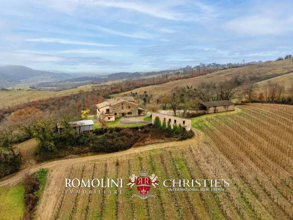 Rustico / casale a Allerona - Foto 4