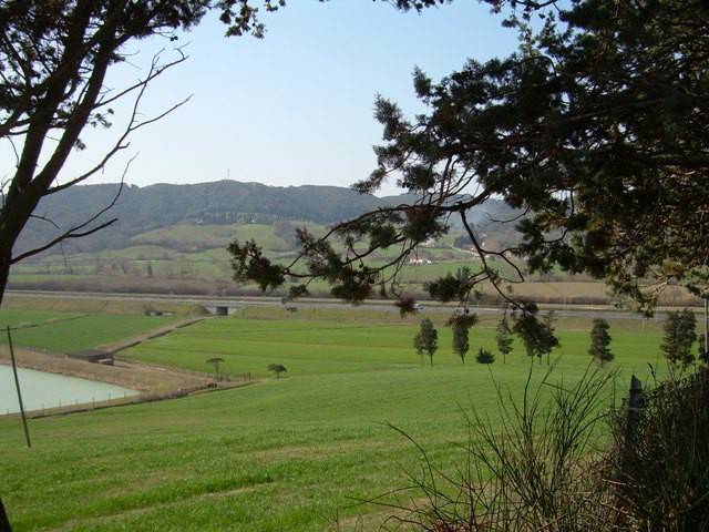 Rustico / casale a Rosignano marittimo in Località Maccetti, 50 - Foto 4