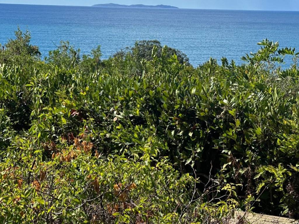 Villa a Orbetello - Foto 5