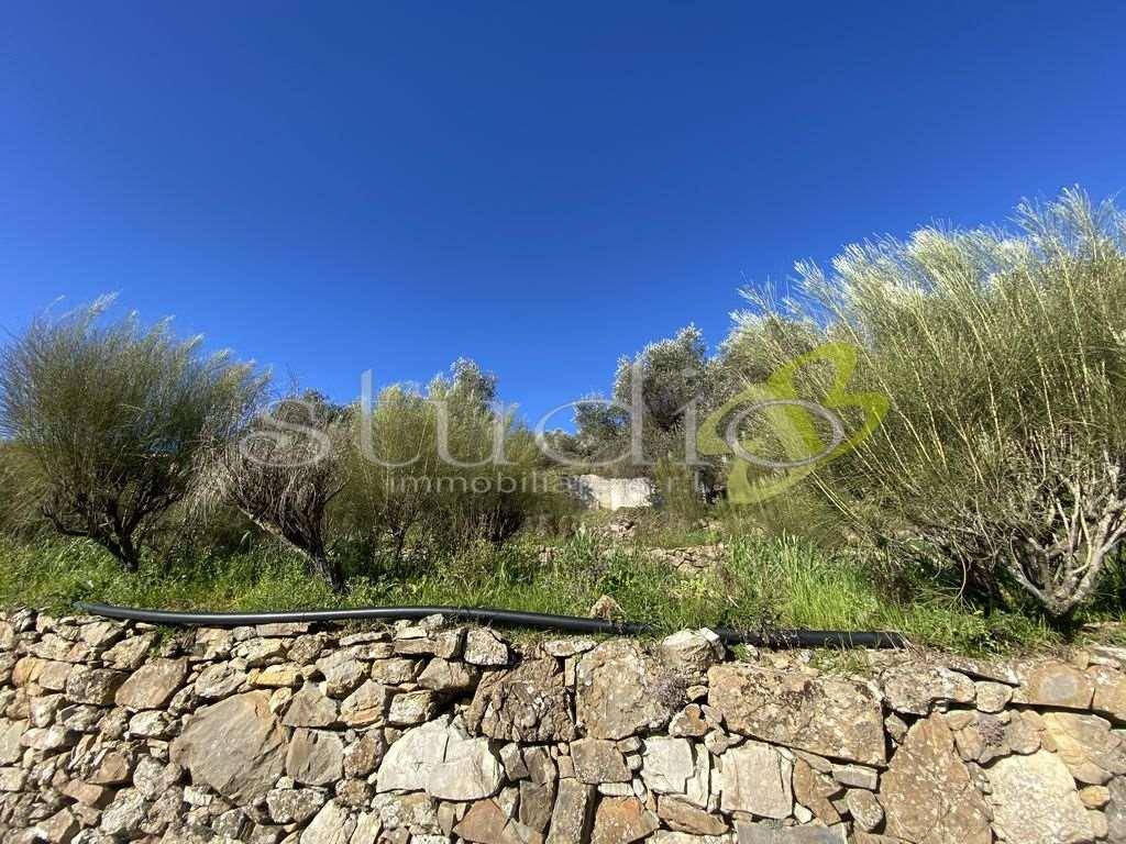 Terreno a Seborga - Foto 3