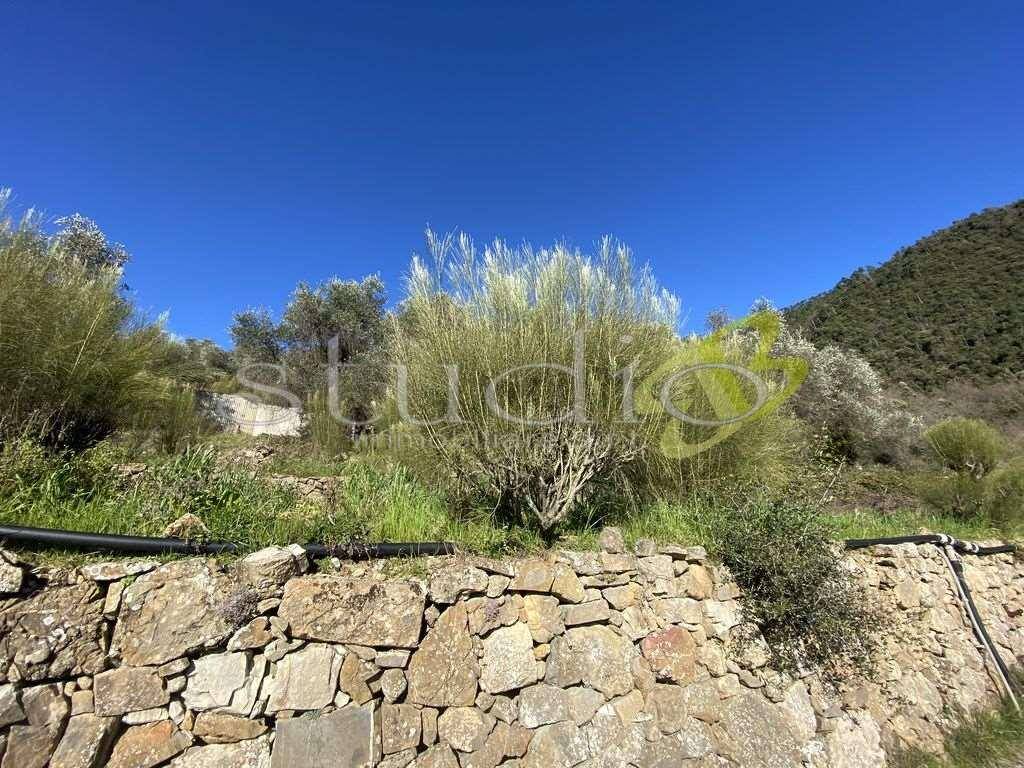 Terreno a Seborga - Foto 4