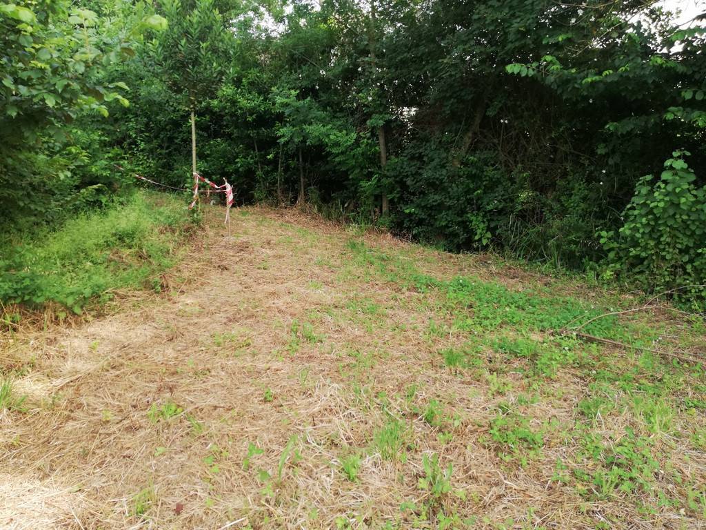 Terreno a Caiazzo in Via Marzio Mirto, 2 - Foto 3