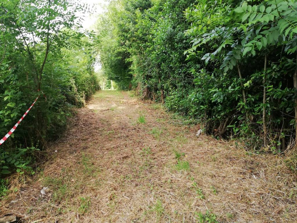 Terreno a Caiazzo in Via Marzio Mirto, 2 - Foto 4