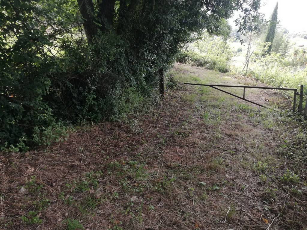 Terreno a Caiazzo in Via Marzio Mirto, 2 - Foto 5