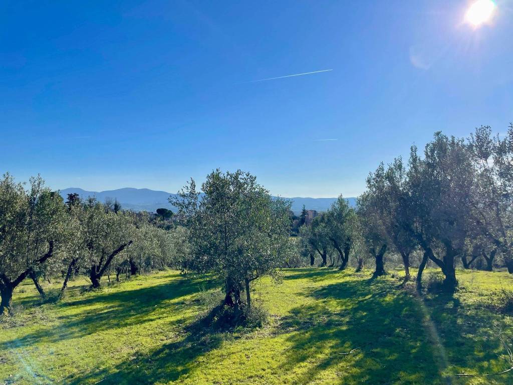 Rustico / casale a Terni in Via Giovanni Ecchio - Foto 2