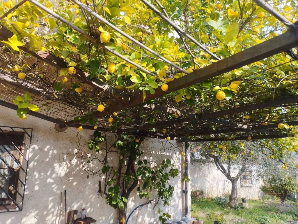 Villetta a schiera a Cervaro in Via Capoferro, 8 - Foto 5