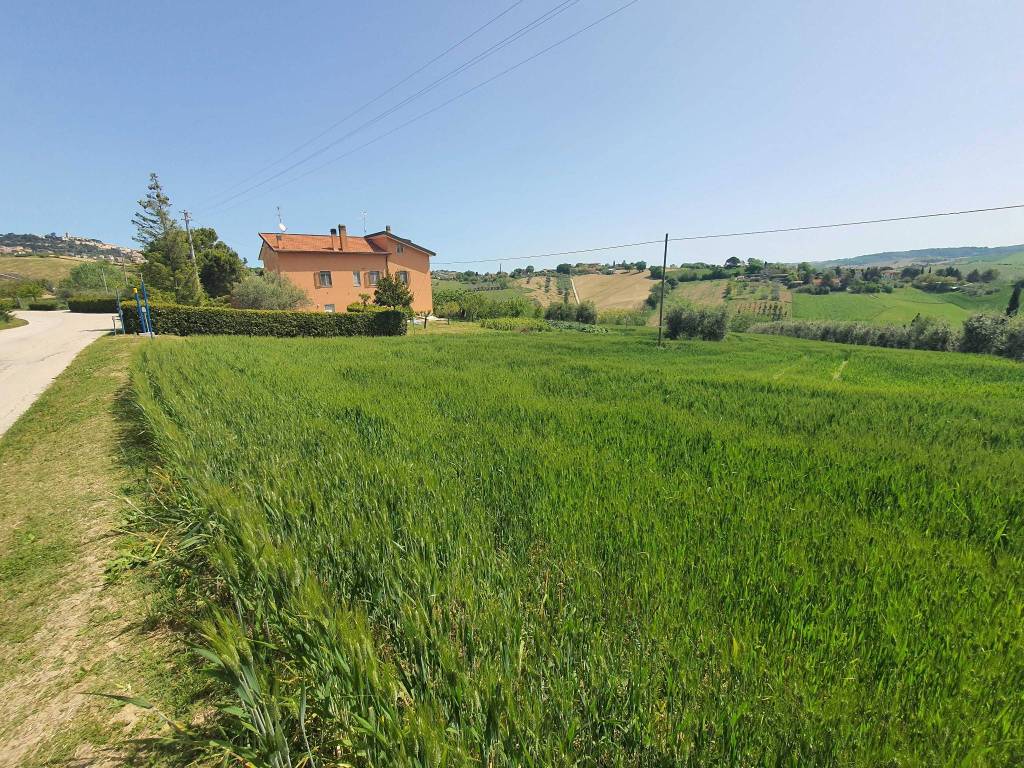 Terreno a Fermo in Contrada Cecapalomba, 10 - Foto 5