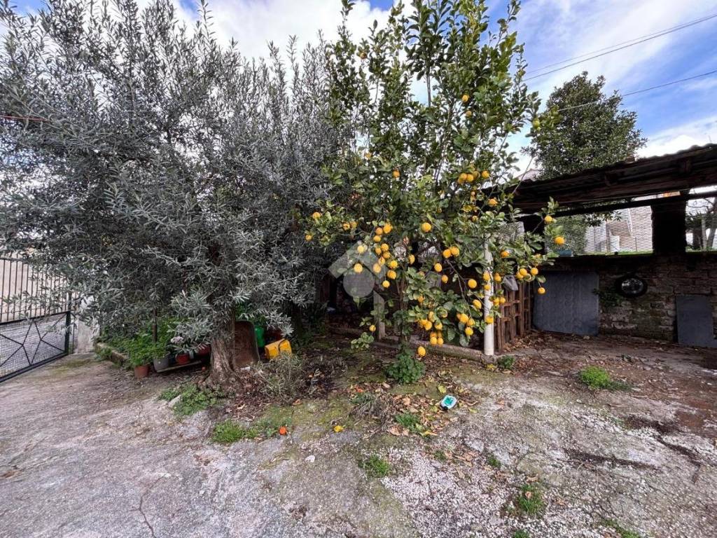 Appartamento a Cori in Via Artena, 98 - Foto 5