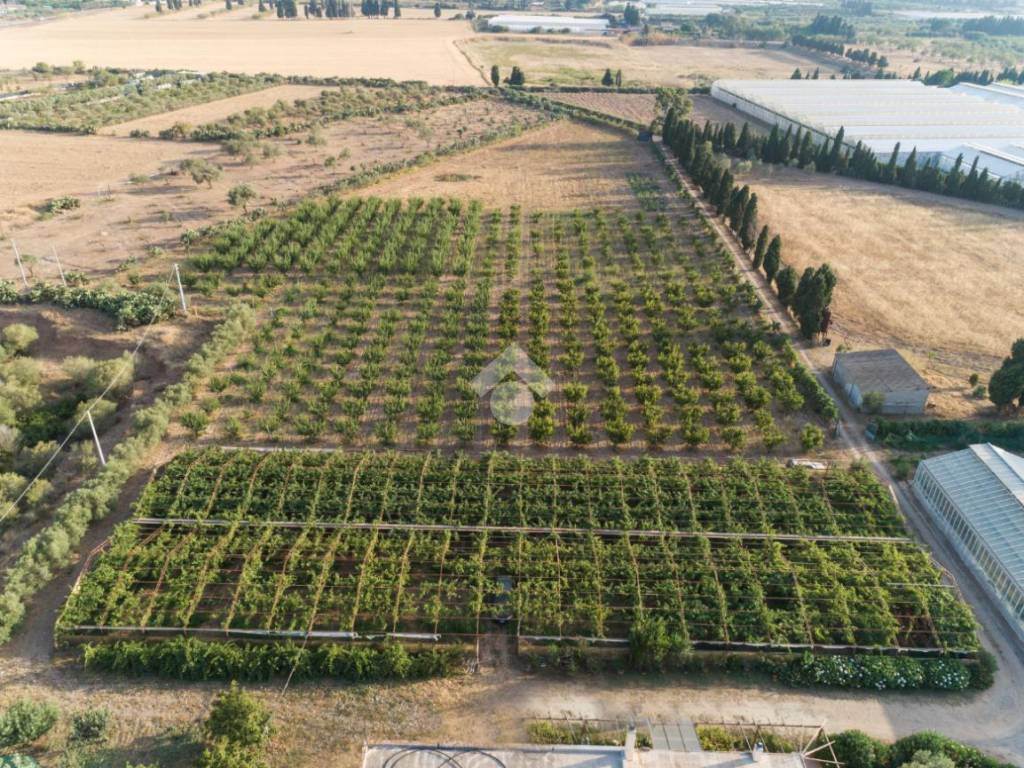 Terreno a Capoterra in località su lillu - Foto 3