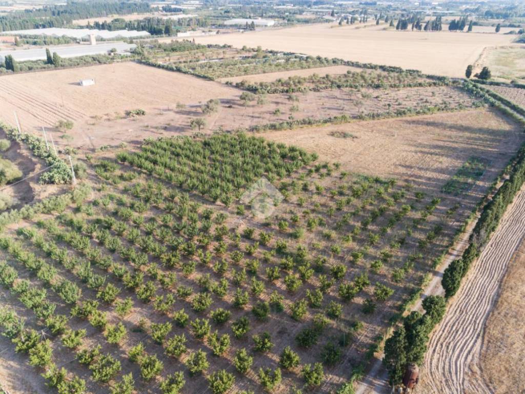 Terreno a Capoterra in località su lillu - Foto 4