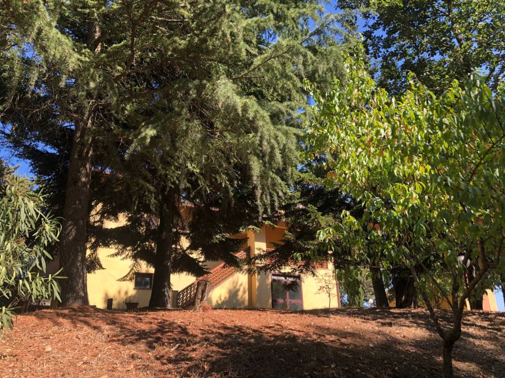 Rustico / casale a San casciano dei bagni in SP41 - Foto 2