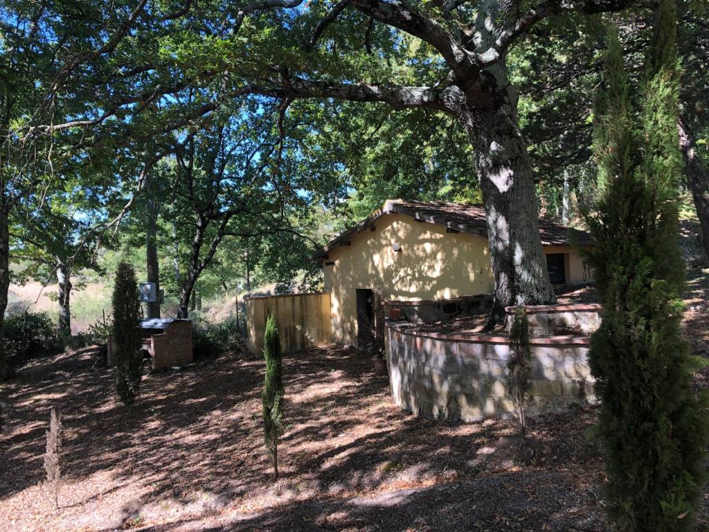 Rustico / casale a San casciano dei bagni in SP41 - Foto 3