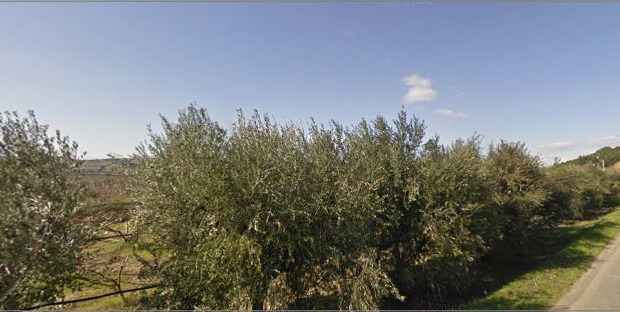 Terreno a Policoro - Foto 4