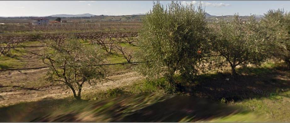 Terreno a Policoro - Foto 5