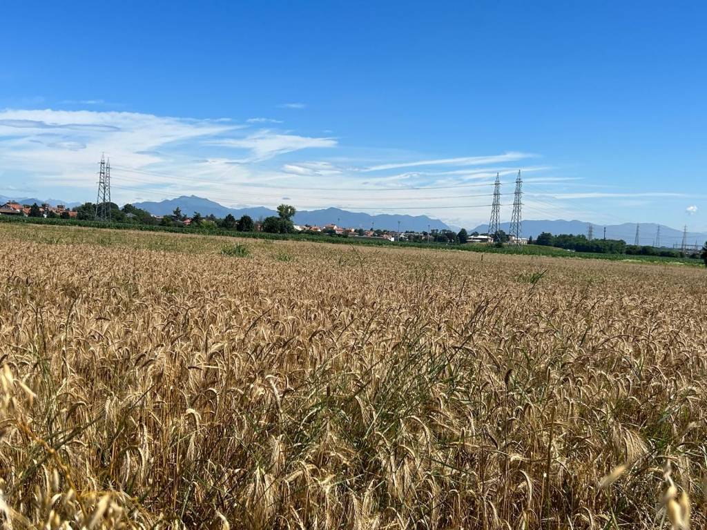 Terreno a Cislago in Via Virgilio - Foto 2