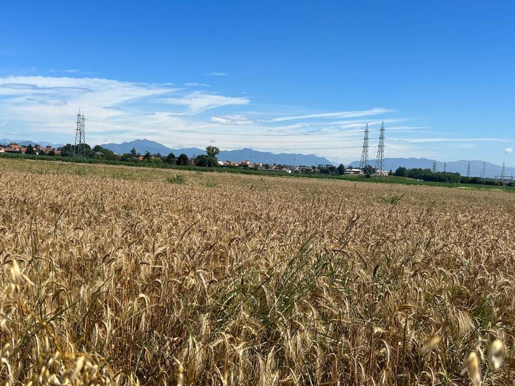 Terreno a Cislago in Via Virgilio - Foto 3